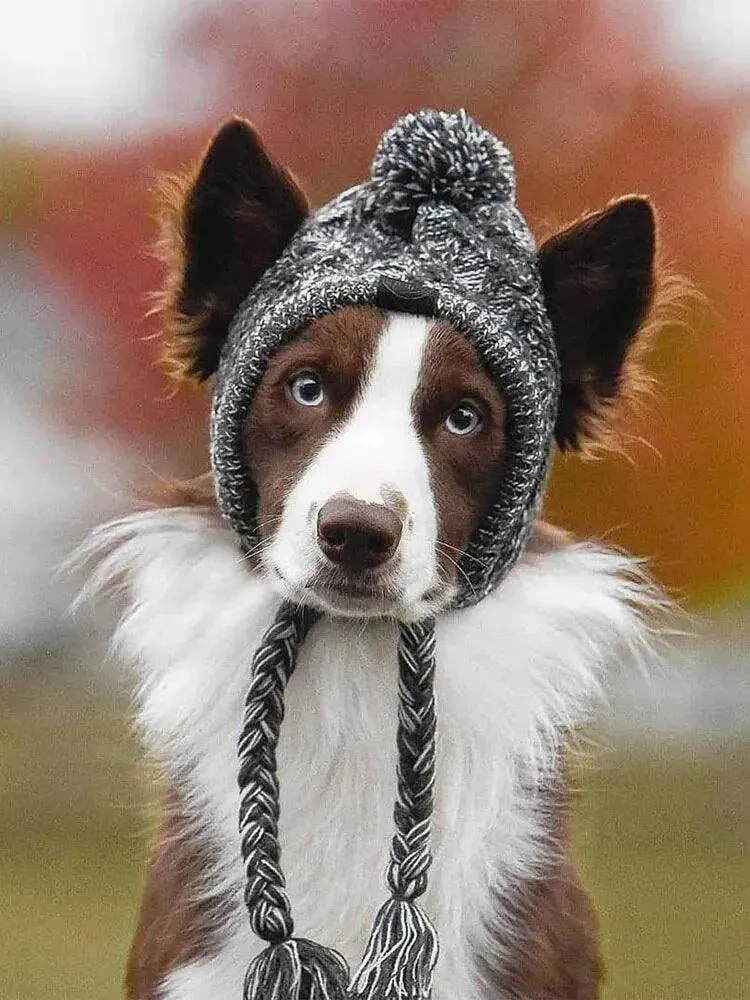 Cozy Winter Warm Dog Hats