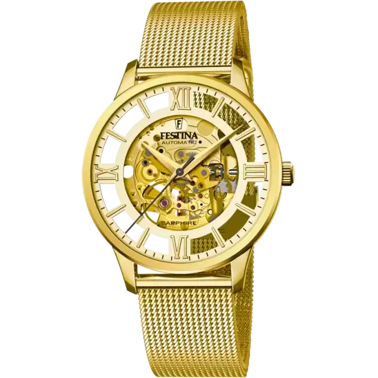 Festina Gold Dial Gold Stainless Steel Strap Men's Watch F20667/1