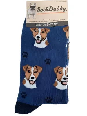 Socks  Jack Russell Terrier Dog      800-17  H