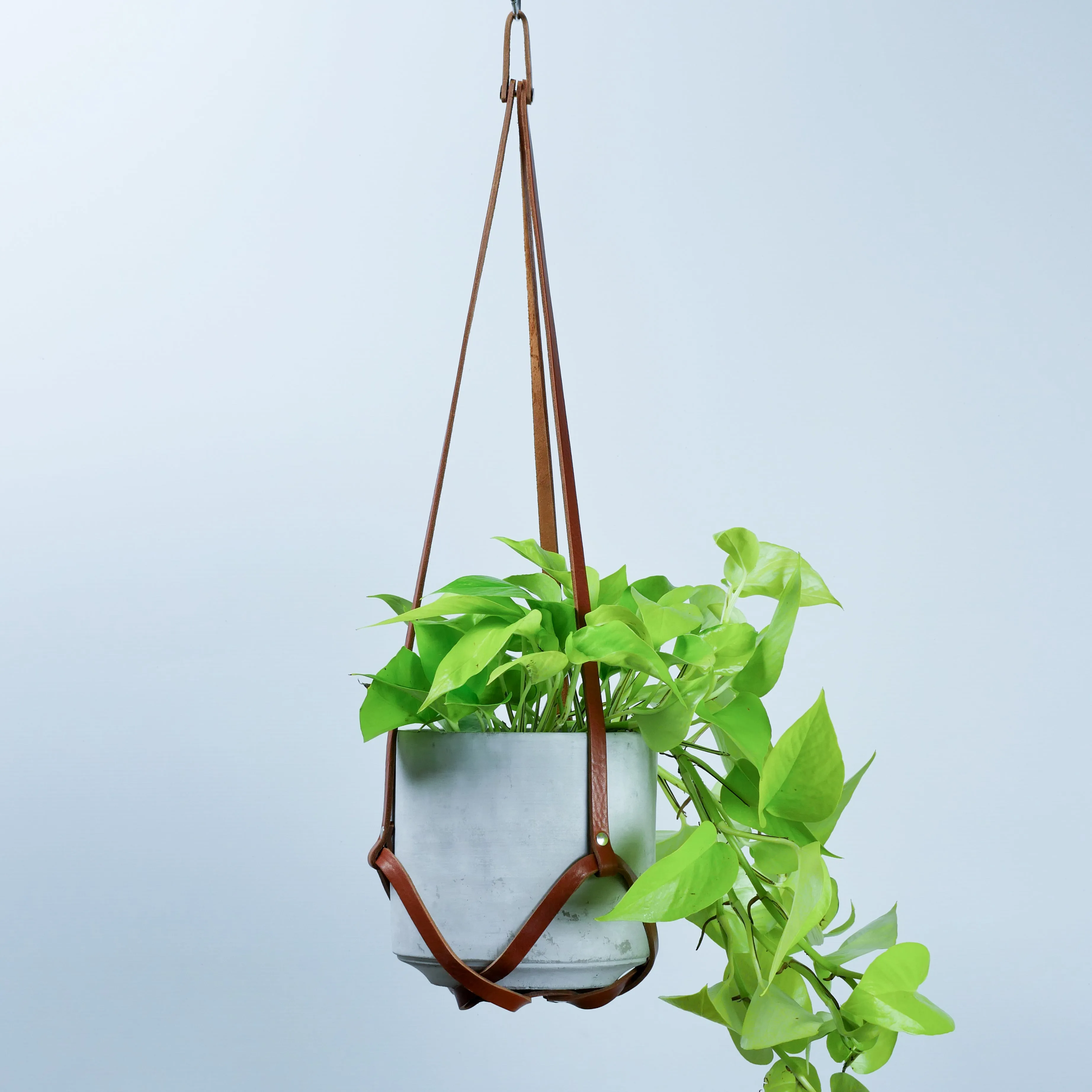 Tan Leather Plant Hanger