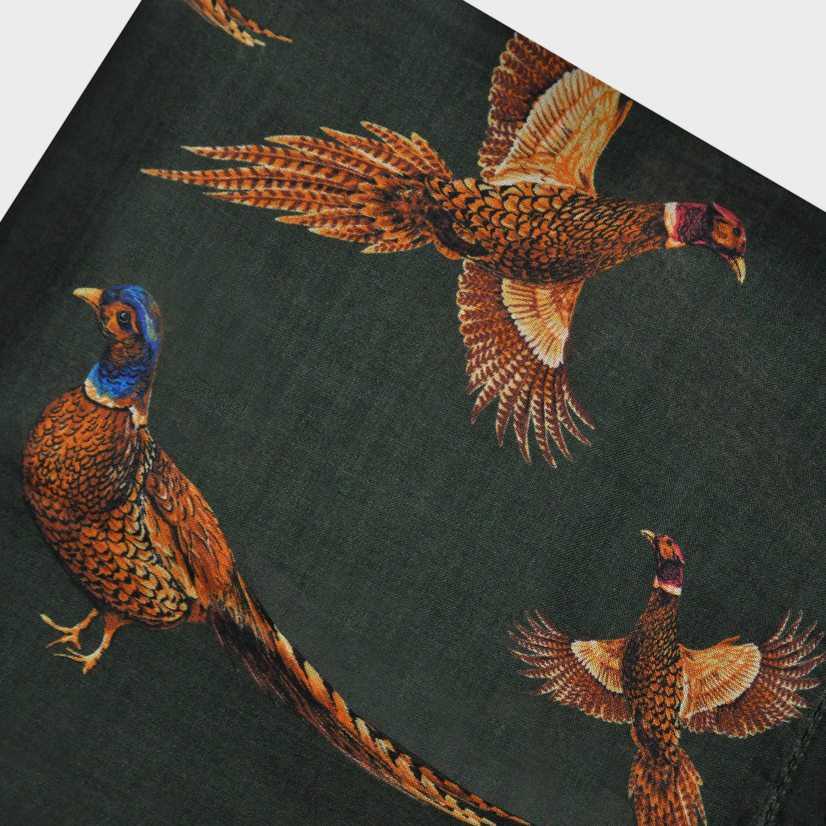 Wool Silk Pheasant Scarf in Green with Puppy Tooth Border