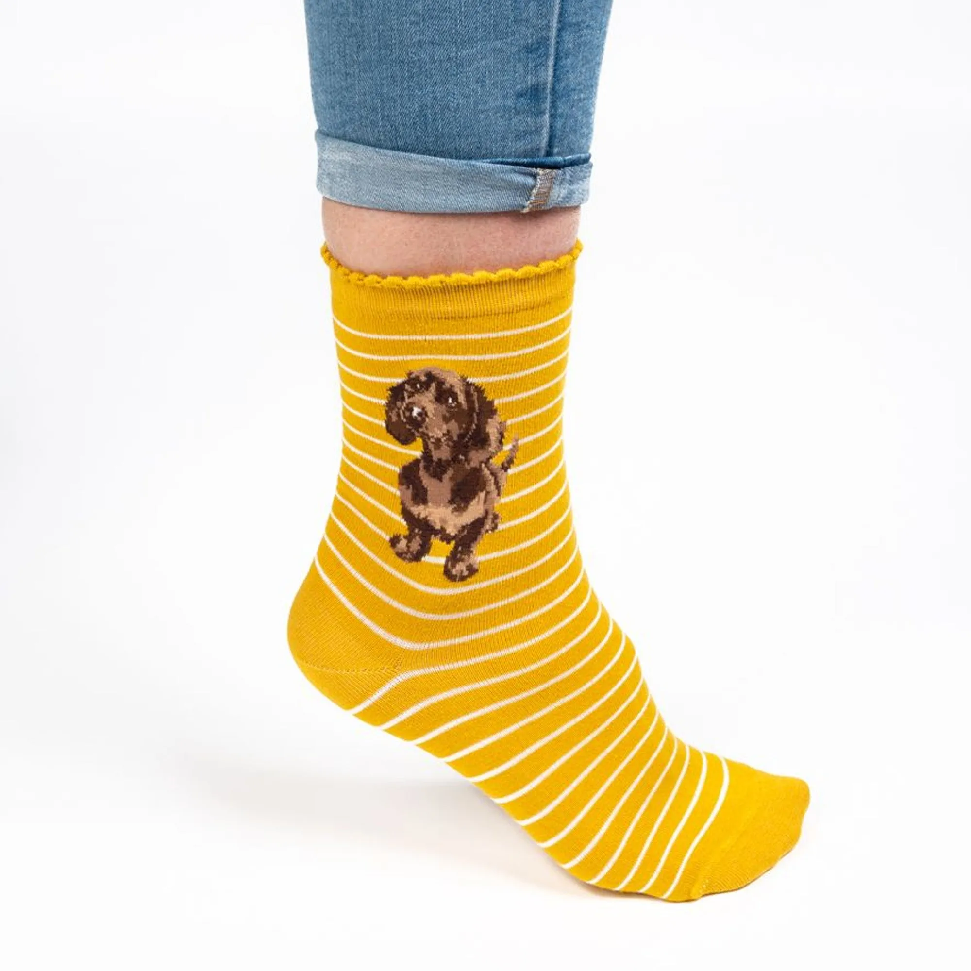 Wrendale Dog Socks - Little One